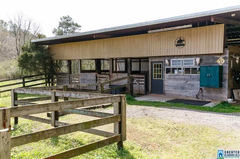 1701 Red Valley Rd, Remlap, AL 35133 photo 32
