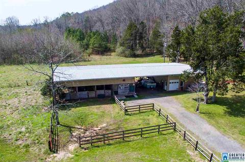 1701 Red Valley Rd, Remlap, AL 35133 photo 3