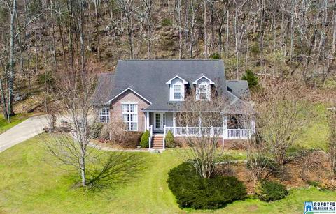 1701 Red Valley Rd, Remlap, AL 35133 photo 1