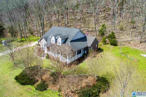 1701 Red Valley Rd, Remlap, AL 35133 photo 2