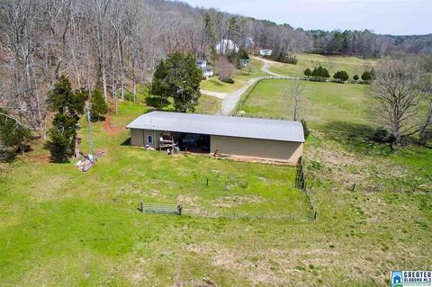 1701 Red Valley Rd, Remlap, AL 35133 photo 44