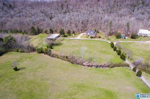 1701 Red Valley Rd, Remlap, AL 35133 photo 41