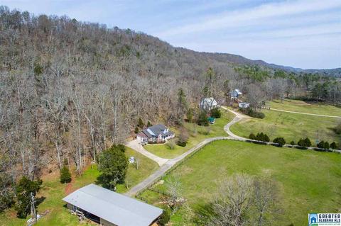 1701 Red Valley Rd, Remlap, AL 35133 photo 46