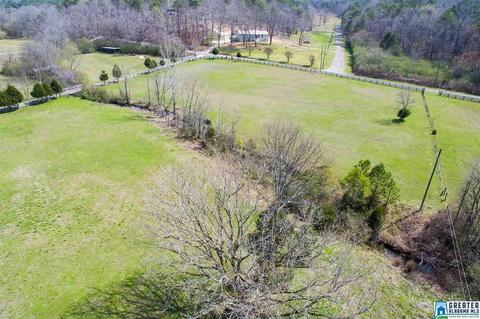 1701 Red Valley Rd, Remlap, AL 35133 photo 45