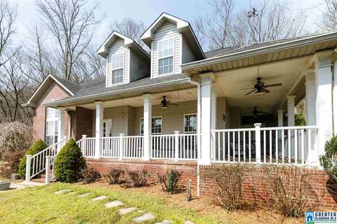 1701 Red Valley Rd, Remlap, AL 35133 photo 6