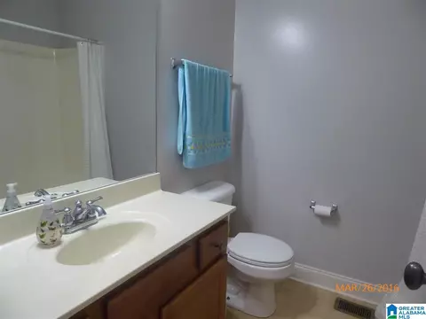 40 Acton Loop, Moody, AL 35004 photo 12