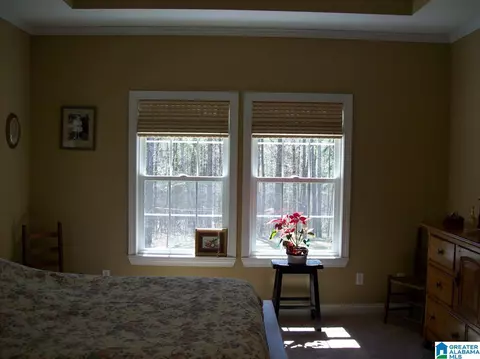 411 County Road 436, Fruithurst, AL 36262 photo 24
