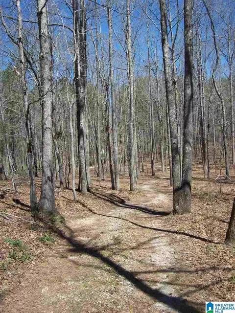 411 County Road 436, Fruithurst, AL 36262 photo 11