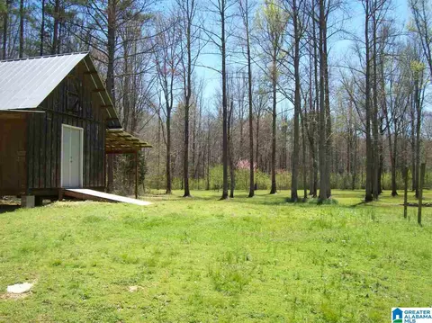 411 County Road 436, Fruithurst, AL 36262 photo 38