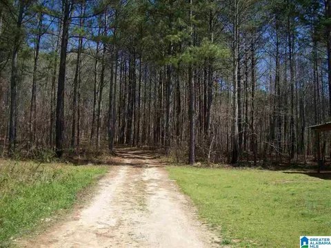 411 County Road 436, Fruithurst, AL 36262 photo 42