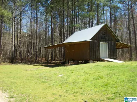 411 County Road 436, Fruithurst, AL 36262 photo 41