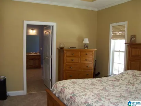 411 County Road 436, Fruithurst, AL 36262 photo 25