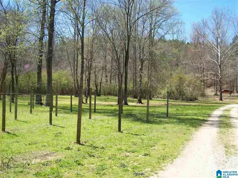 411 County Road 436, Fruithurst, AL 36262 photo 40