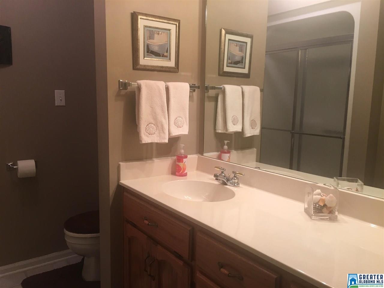 12320 Mcmath Trl, Mc Calla, AL 35111 photo 19