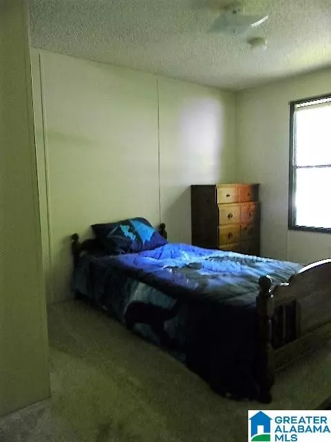1407 Ruby Dr, Pelham, AL 35124 photo 37