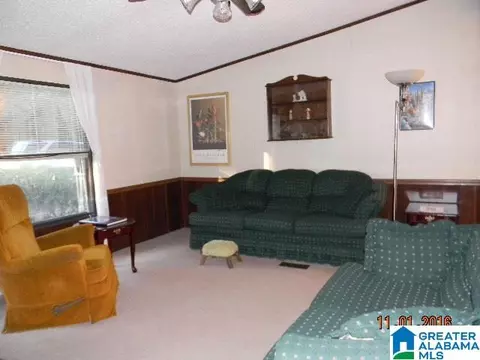 1407 Ruby Dr, Pelham, AL 35124 photo 20