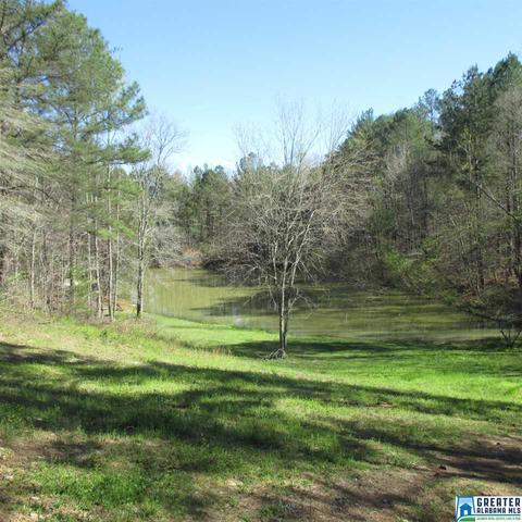 2294 Sims Rd, Oneonta, AL 35121 photo 11