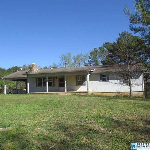 2294 Sims Rd, Oneonta, AL 35121 photo 1
