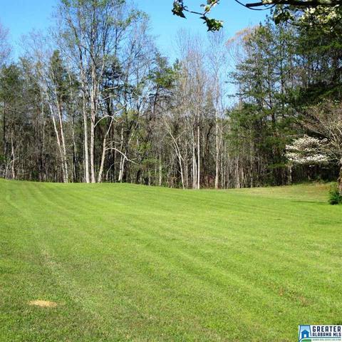 2294 Sims Rd, Oneonta, AL 35121 photo 10