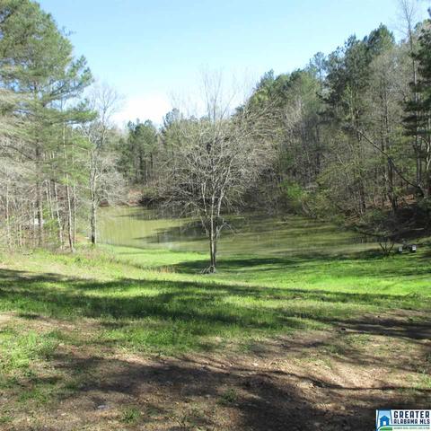 2294 Sims Rd, Oneonta, AL 35121 photo 5