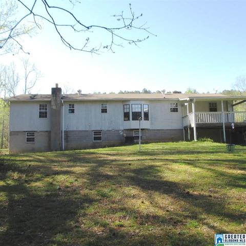 2294 Sims Rd, Oneonta, AL 35121 photo 12