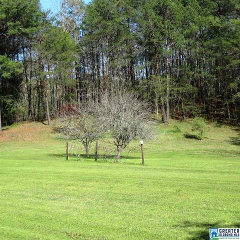 2294 Sims Rd, Oneonta, AL 35121 photo 9