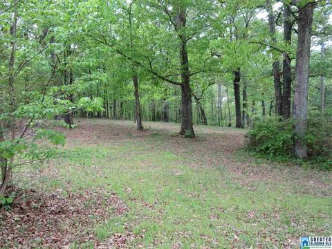 6798 Burchfield Loop, Mc Calla, AL 35111 photo 6