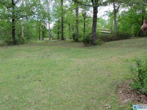 6798 Burchfield Loop, Mc Calla, AL 35111 photo 3