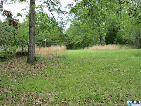 6798 Burchfield Loop, Mc Calla, AL 35111 photo 5