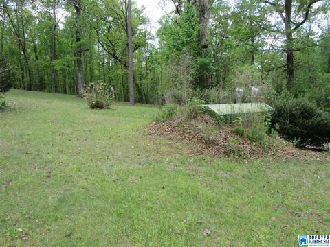 6798 Burchfield Loop, Mc Calla, AL 35111 photo 4