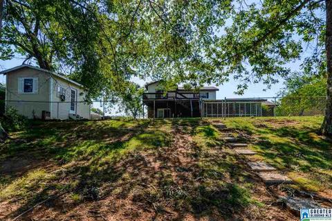 621 Cove Point Dr, Riverside, AL 35135 photo 38