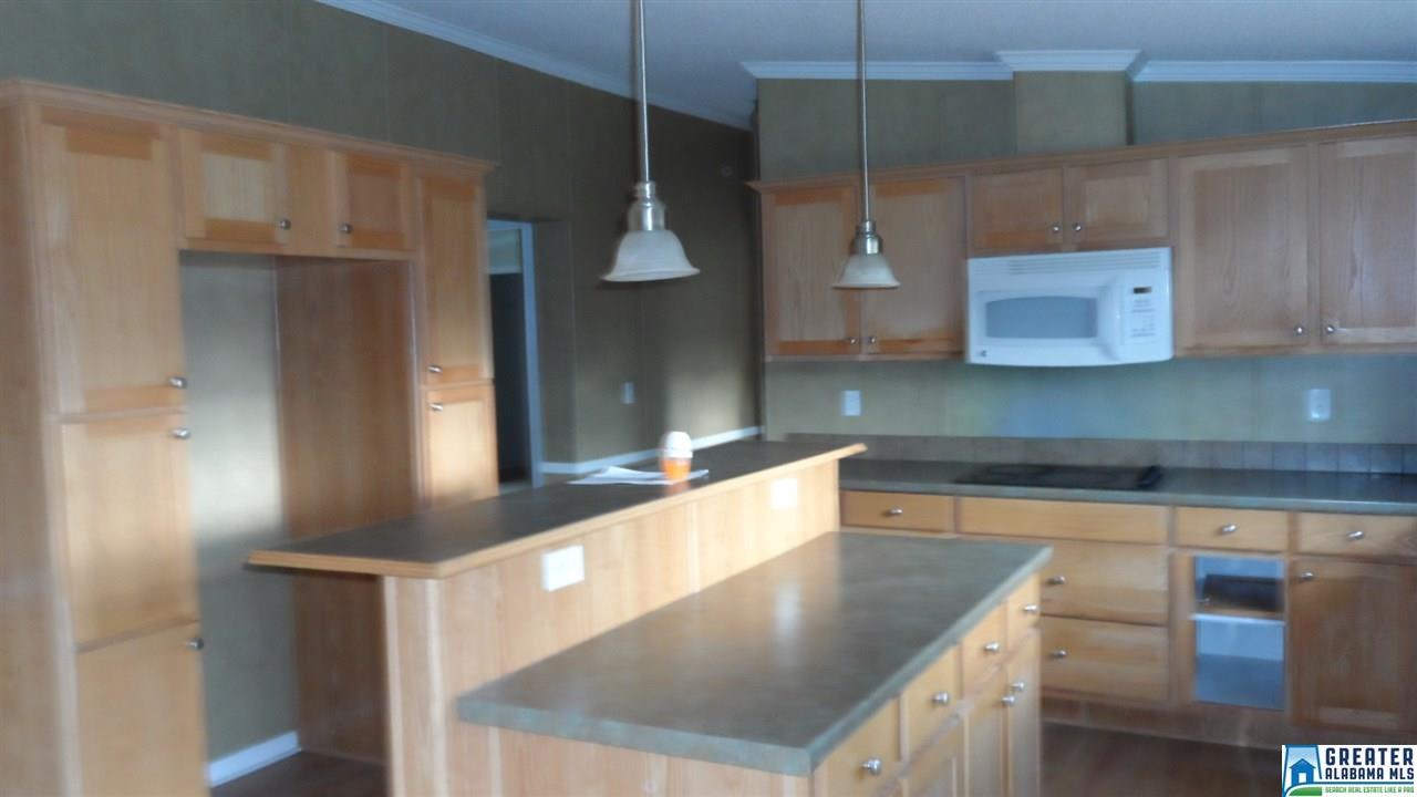 6244 County Road 205, Fruithurst, AL 36262 photo 9