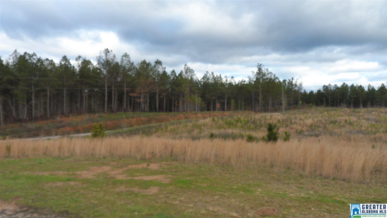 6244 County Road 205, Fruithurst, AL 36262 photo 4