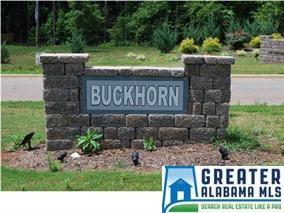 369 Bailey Rd, Weaver, AL 36277 photo 24