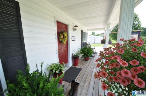 175 Shady Point Rd, Locust Fork, AL 35097 photo 5