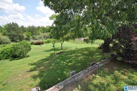 175 Shady Point Rd, Locust Fork, AL 35097 photo 8