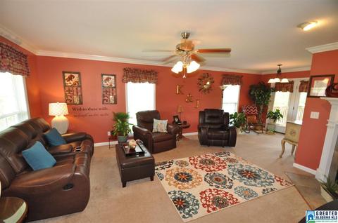 175 Shady Point Rd, Locust Fork, AL 35097 photo 13