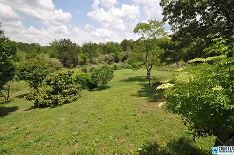 175 Shady Point Rd, Locust Fork, AL 35097 photo 9