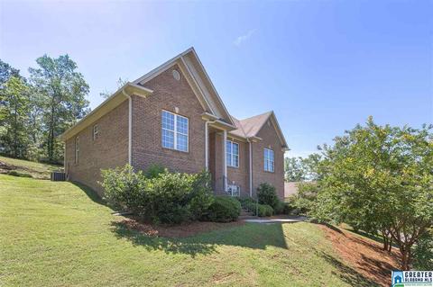65 Mason Dr, Odenville, AL 35120 photo 1