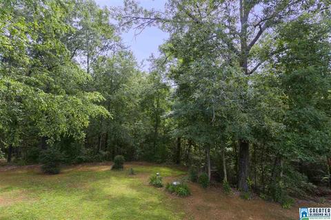 309 Panoramic Trl, Warrior, AL 35180 photo 11