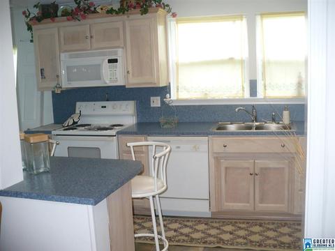 101 Moss St, Warrior, AL 35180 photo 9