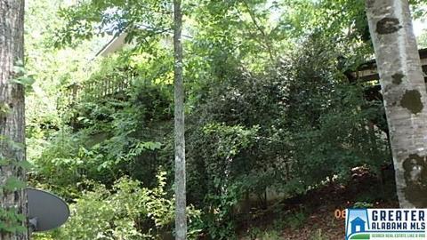 1209 County Road 261, Clanton, AL 35046 photo 14