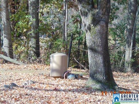 2712 County Road 9, Clanton, AL 35045 photo 13