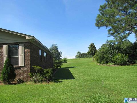 423 3rd St, Thorsby, AL 35171 photo 11