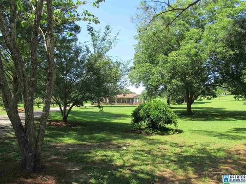 423 3rd St, Thorsby, AL 35171 photo 5