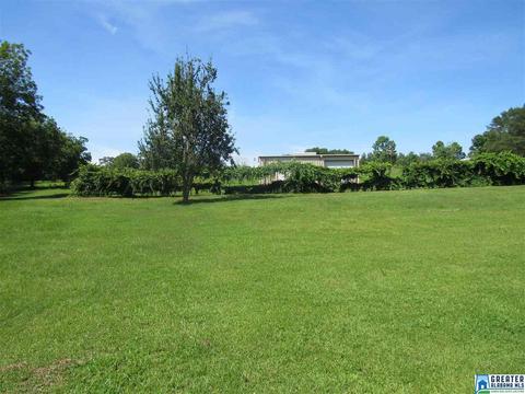 423 3rd St, Thorsby, AL 35171 photo 38