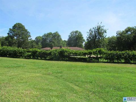 423 3rd St, Thorsby, AL 35171 photo 47