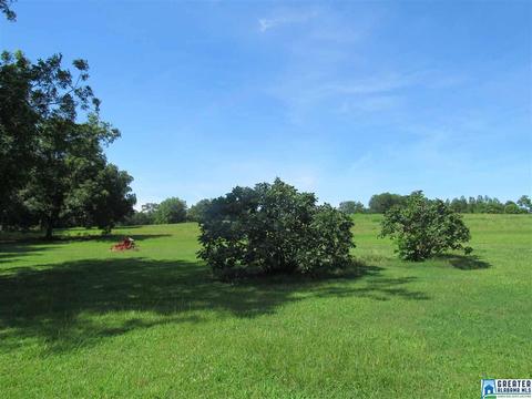 423 3rd St, Thorsby, AL 35171 photo 39
