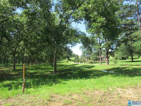 423 3rd St, Thorsby, AL 35171 photo 4