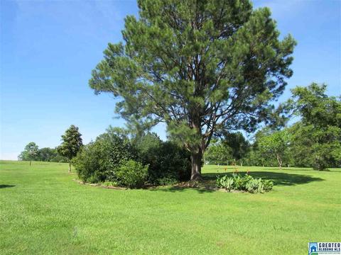 423 3rd St, Thorsby, AL 35171 photo 50